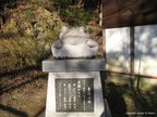 Lucky Frog Monument